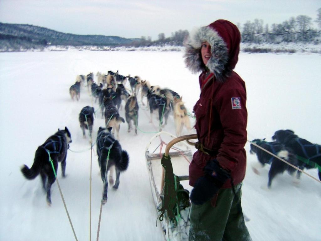 Engholm Husky Design Lodge Karasjok Kültér fotó