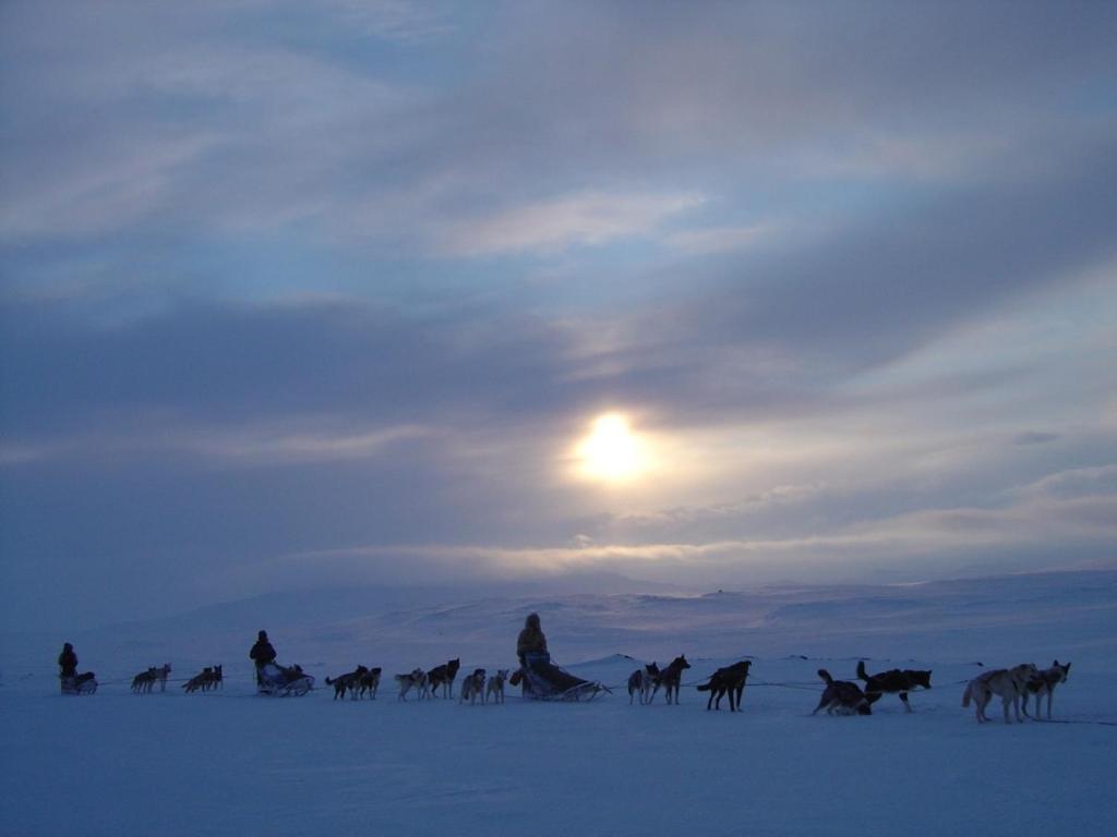Engholm Husky Design Lodge Karasjok Kültér fotó