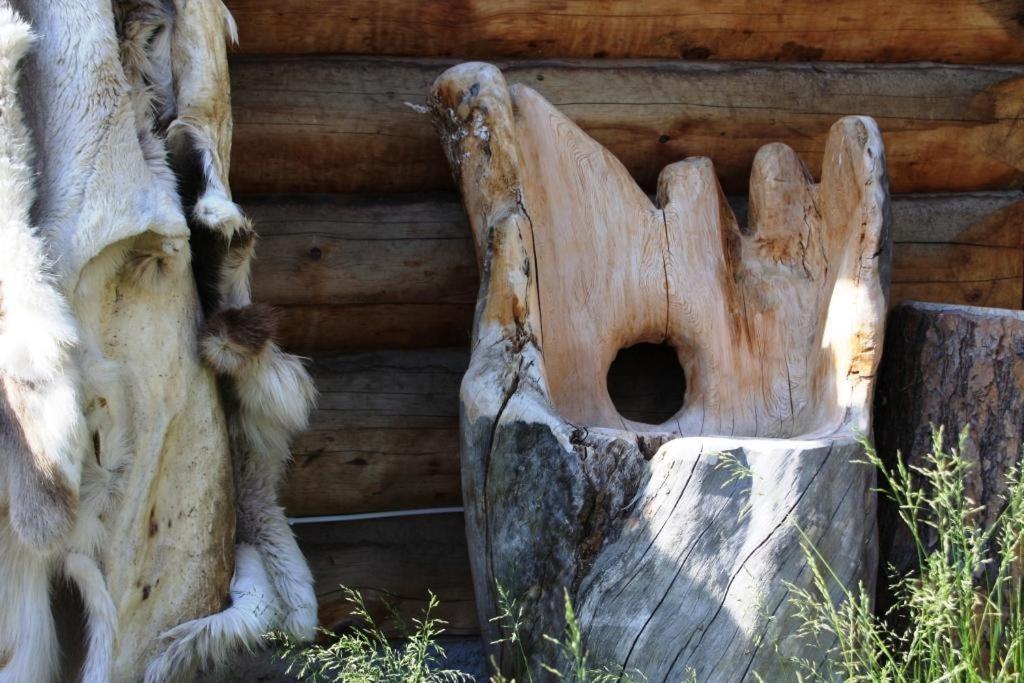 Engholm Husky Design Lodge Karasjok Kültér fotó