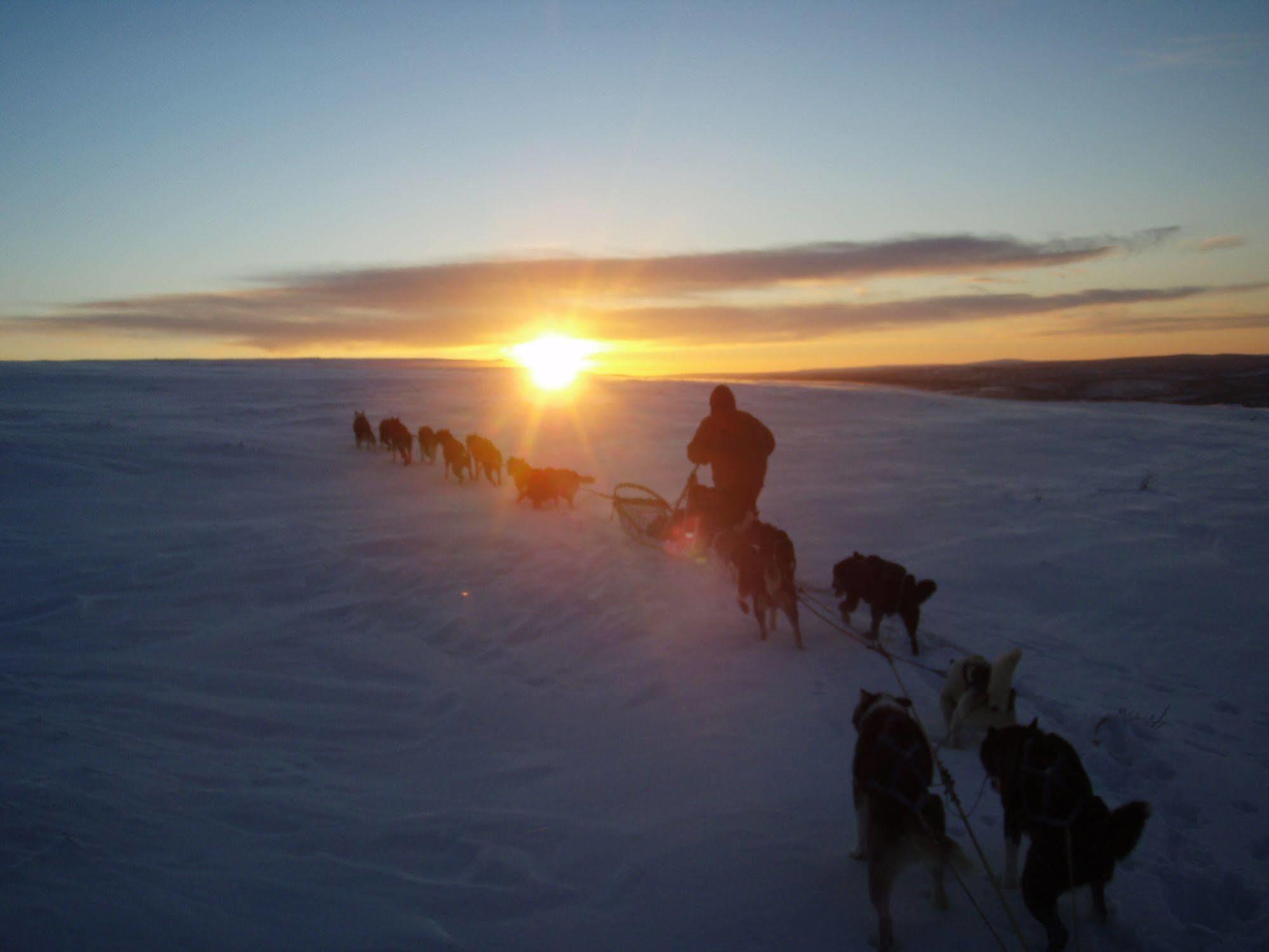 Engholm Husky Design Lodge Karasjok Kültér fotó
